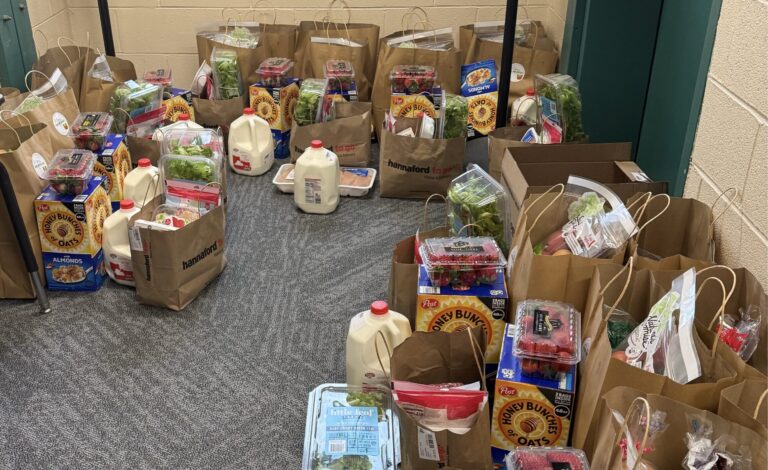 Monthly Food Delivery Bags 3